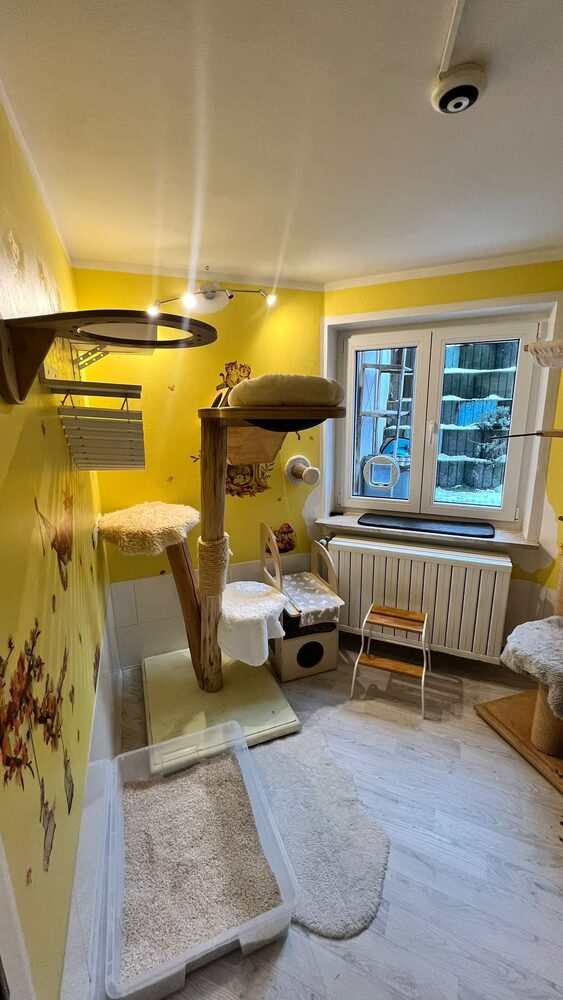 Gelbes Gruppenzimmer mit gemütlichen Liegeflächen